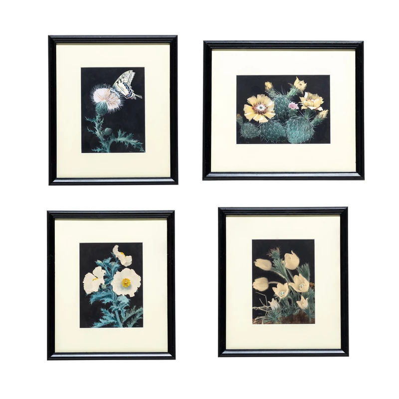 Cactus Paintings by Nash