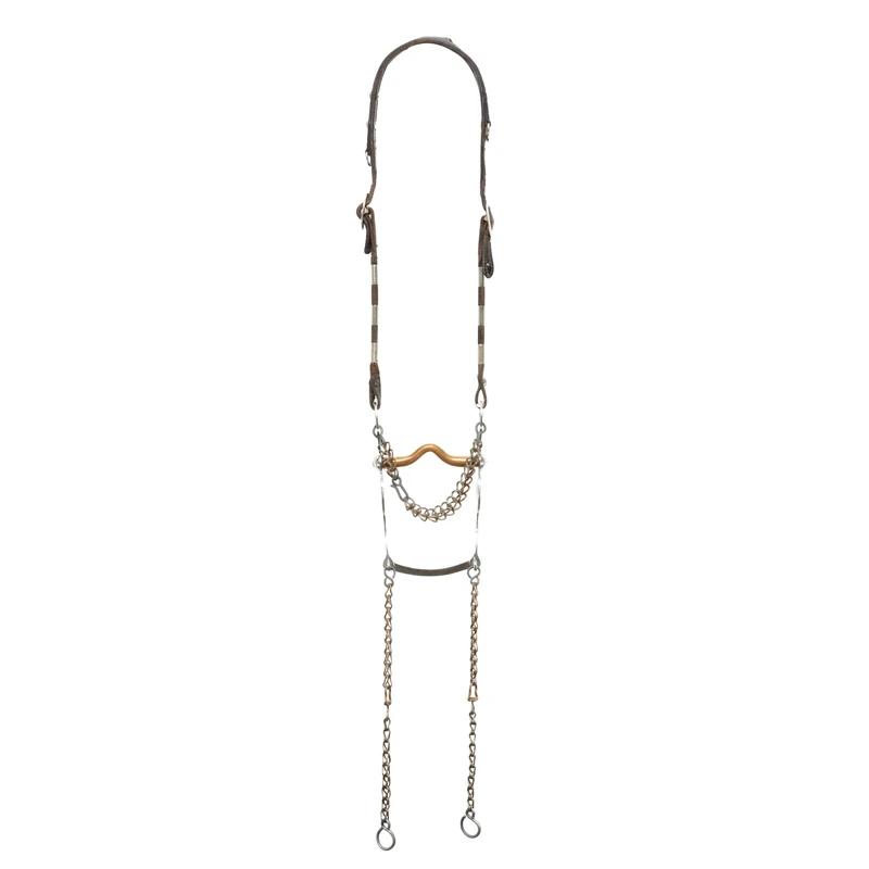 Pictorial Headstall