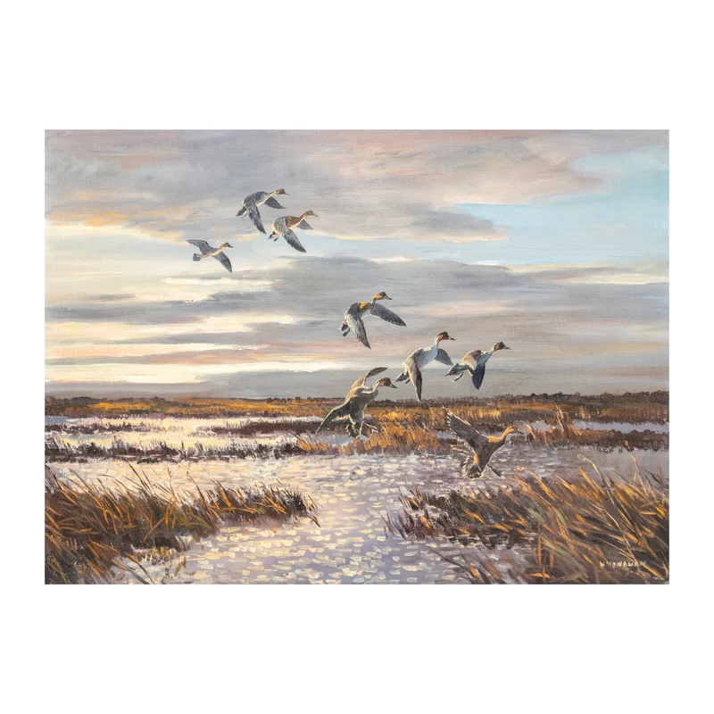 Pintails by Hugh Monahan